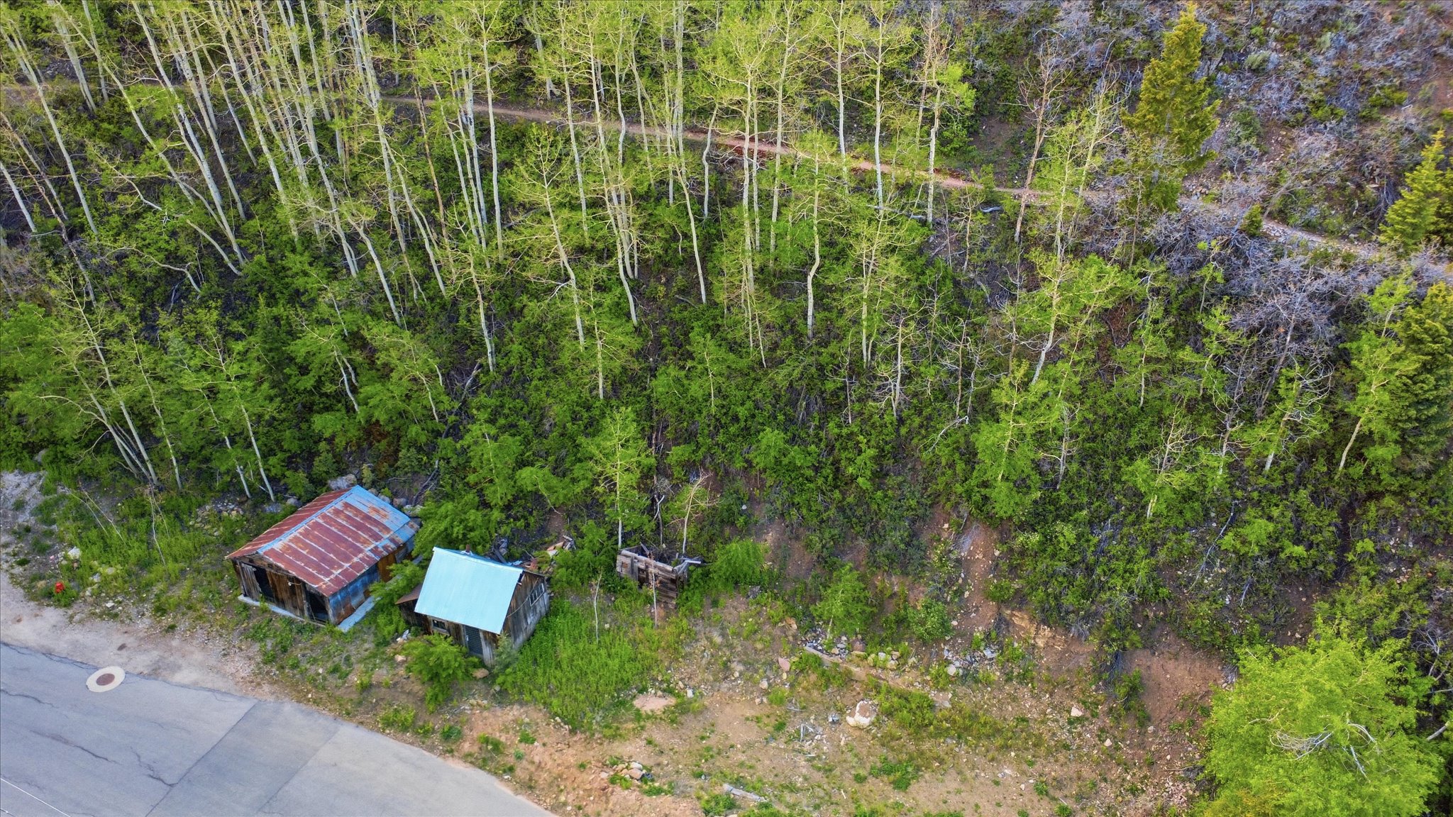 Wooded hillside property with established trees, including aspens