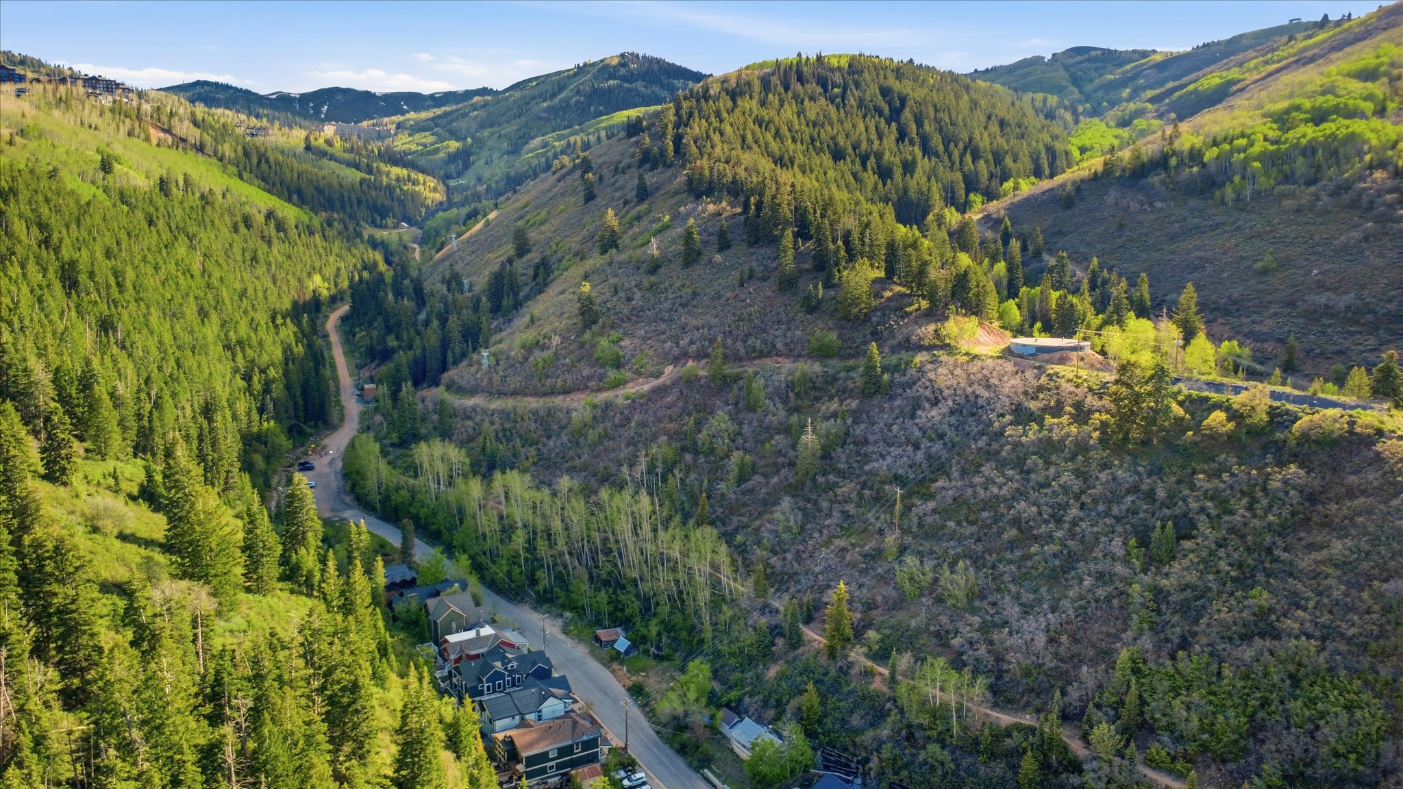 Expansive mountain landscape featuring dense evergreen forests and varied deciduous trees