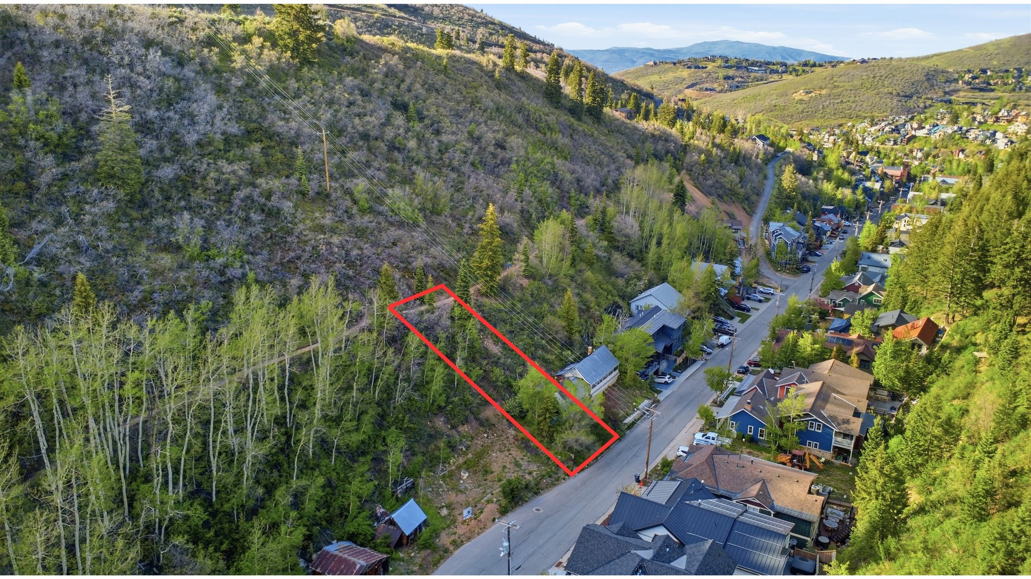 Expansive undeveloped land parcel situated on a sloped hillside, featuring mature trees and direct road frontage