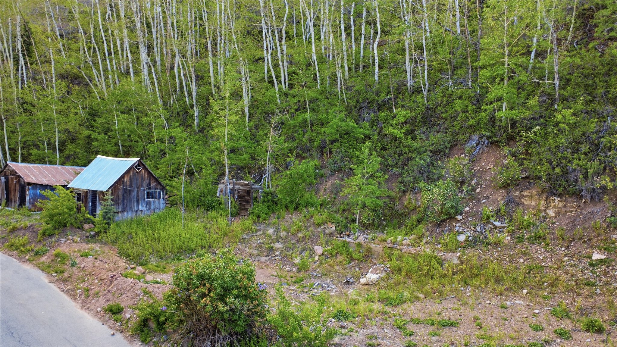 Wood-sided structures with metal roofs situated on a verdant hillside, bordered by a paved road