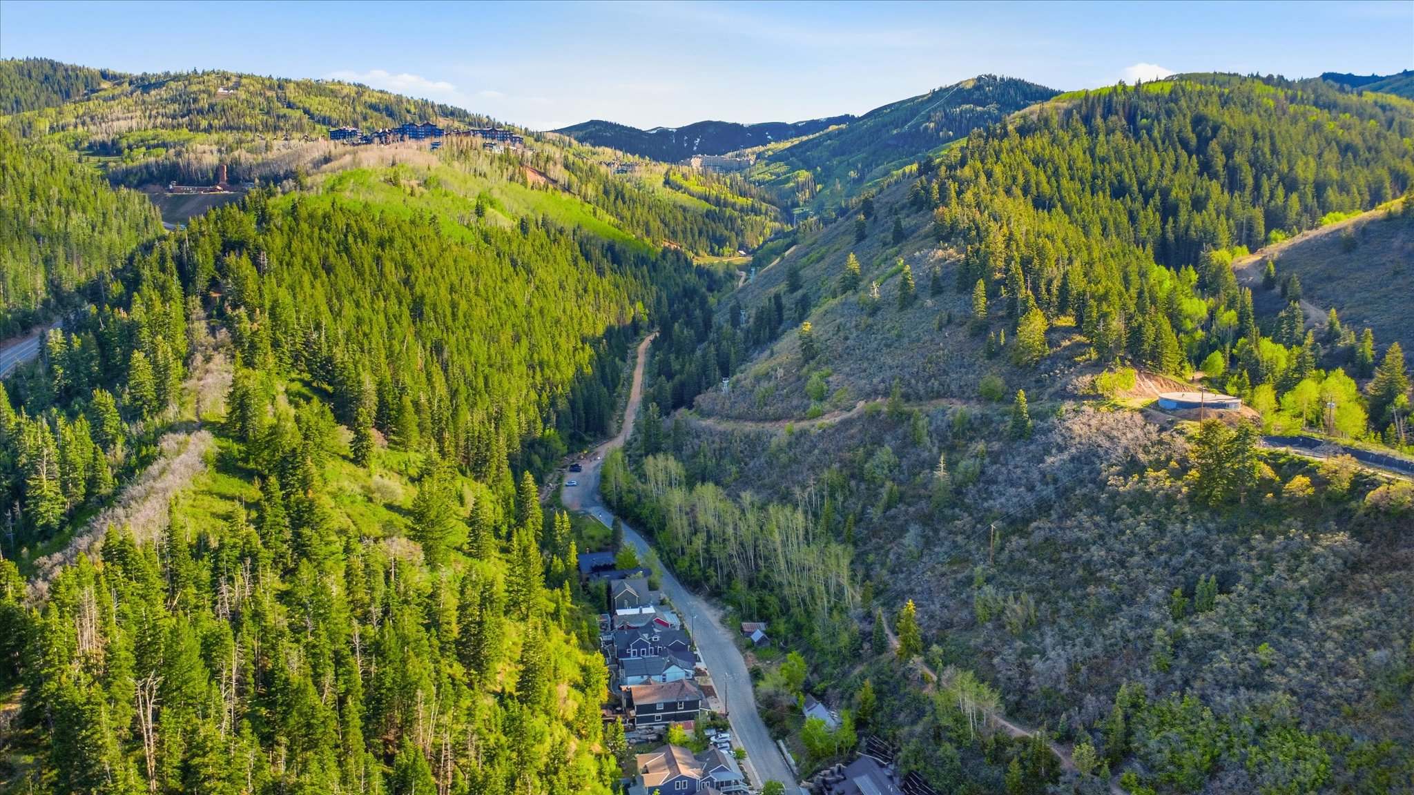 Rolling mountain landscape featuring extensive evergreen forests