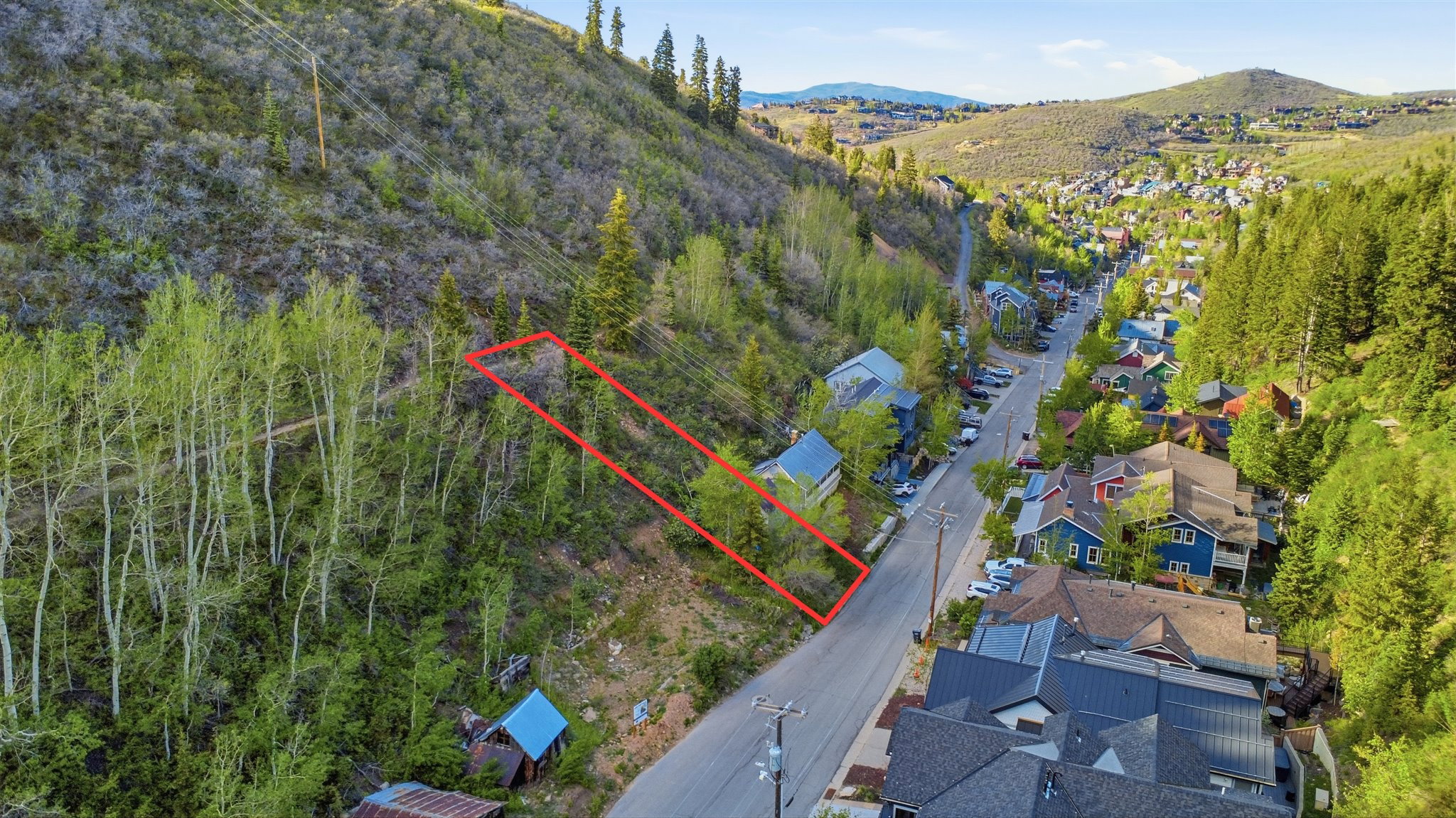 Sloped land parcel with mature trees and foliage, bordering a paved road