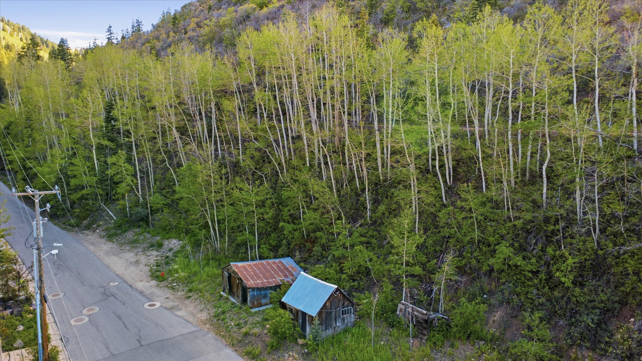 Wooded hillside property featuring numerous deciduous trees, a paved road, and two rustic outbuildings