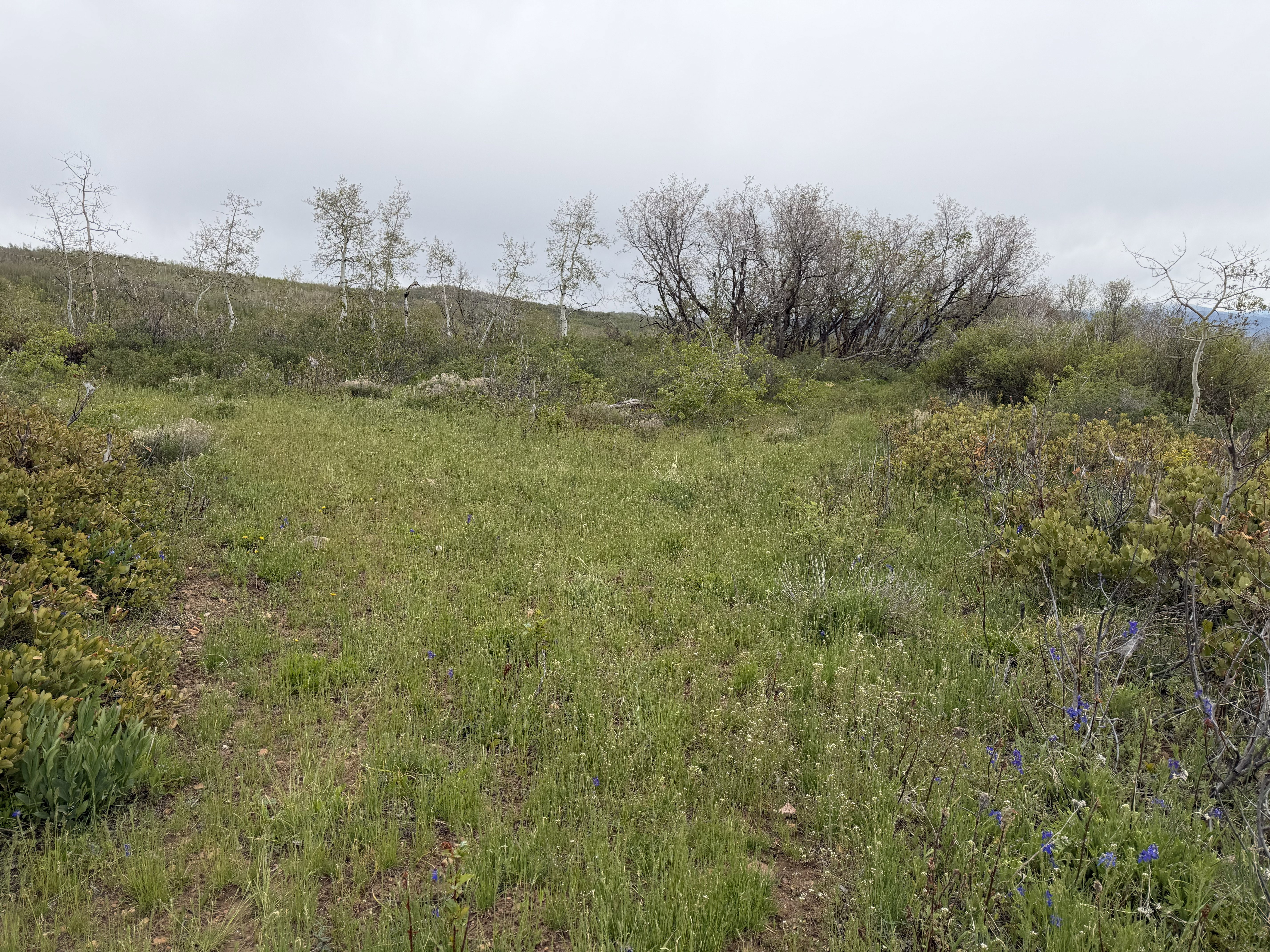 Expansive natural landscape with varied terrain