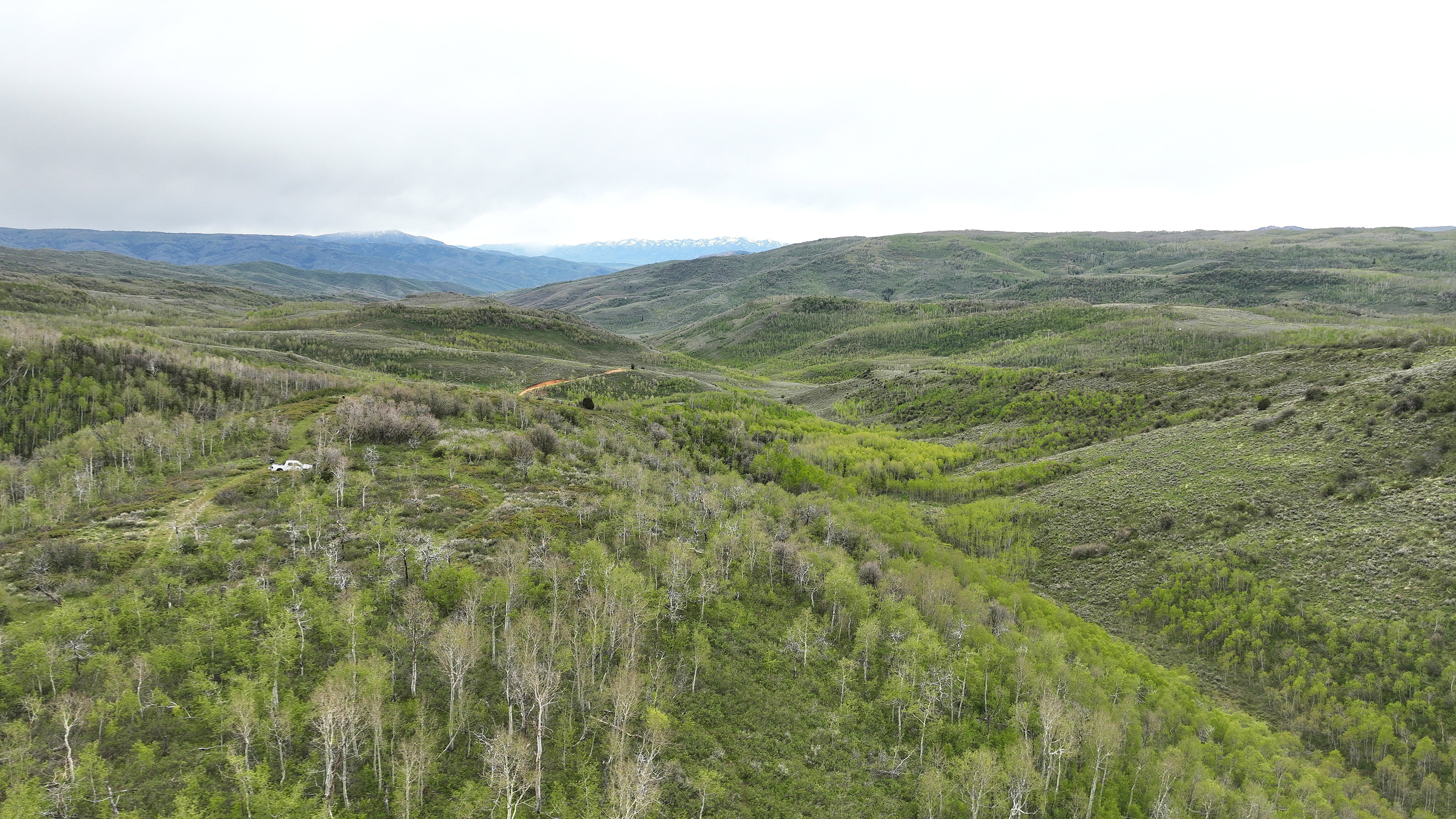 1  HWY 39 Huntsville UT 84317
