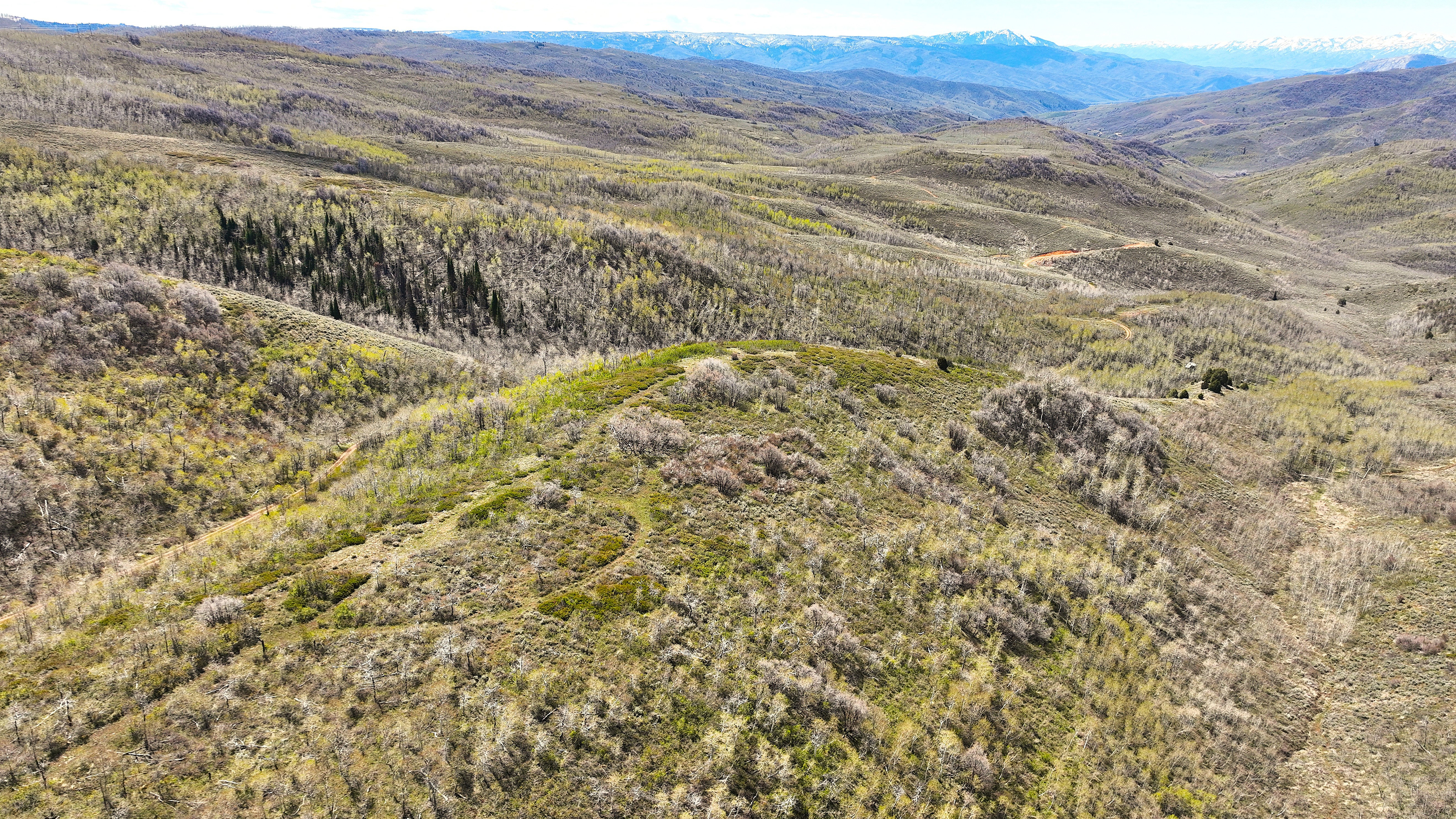 Expansive mountain terrain with varied topography, featuring scattered deciduous trees and evergreen patches