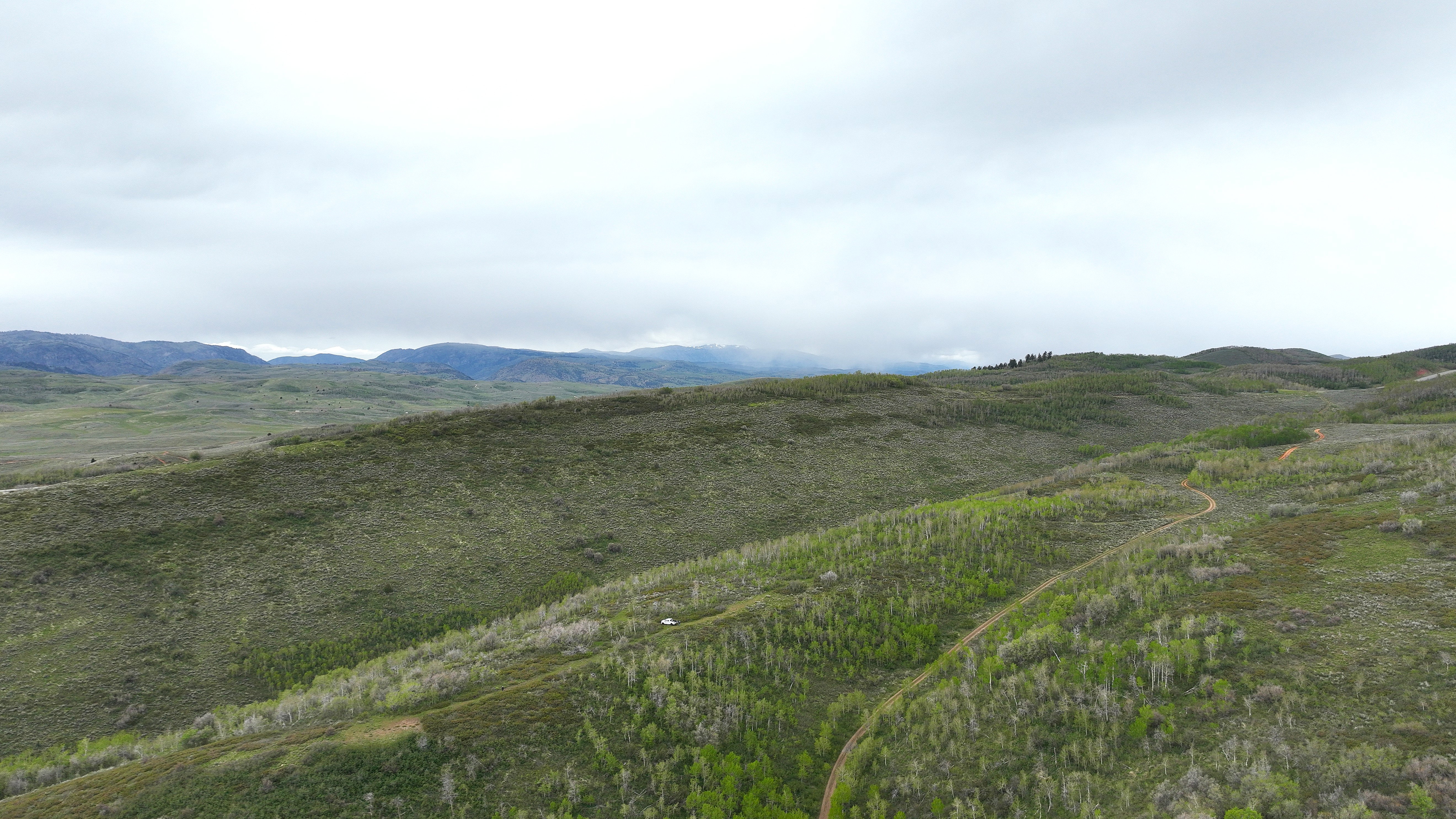 Expansive undeveloped land featuring rolling hills, mature trees, and a visible dirt road