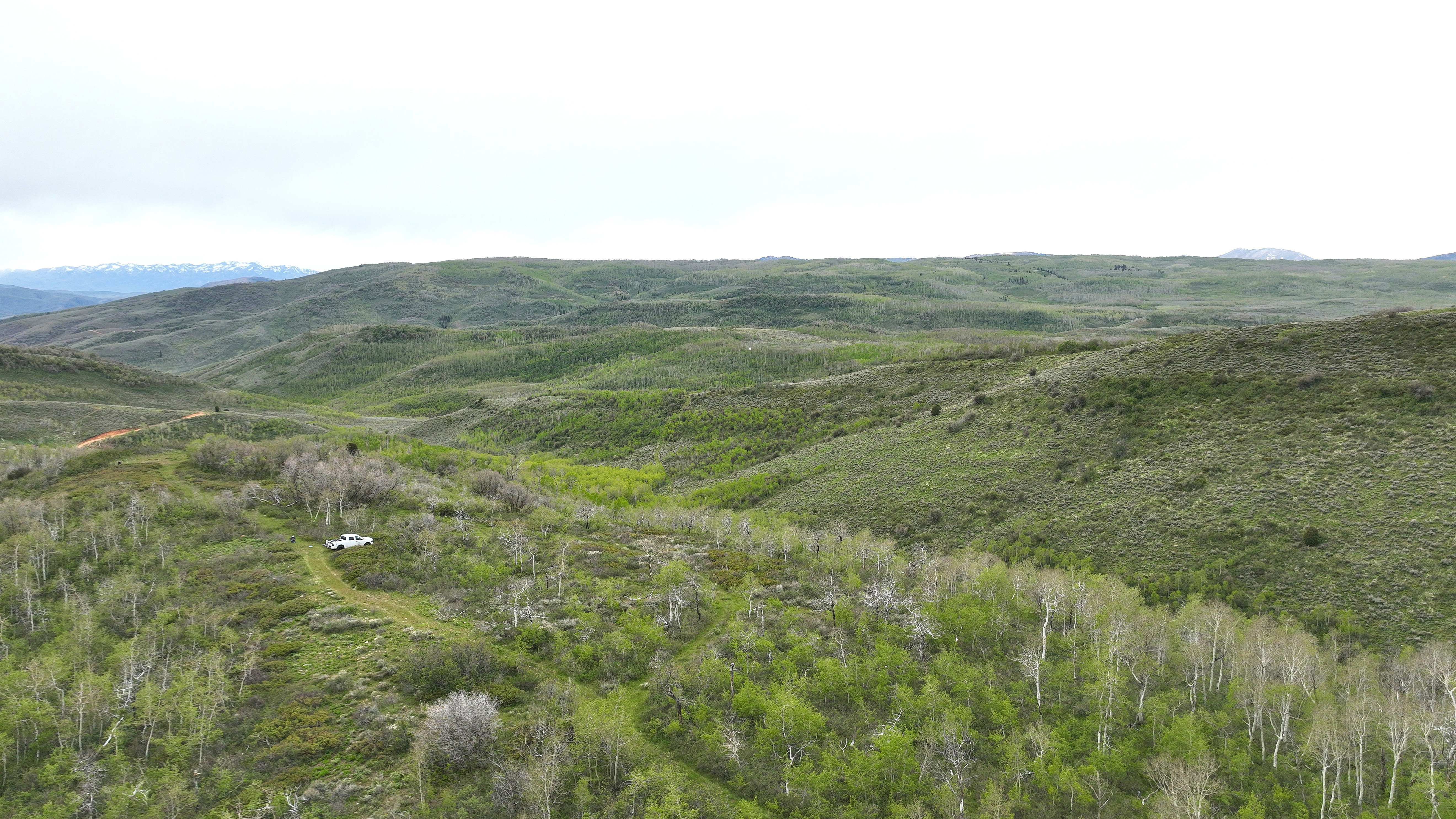 Expansive natural landscape featuring rolling hills and abundant green foliage