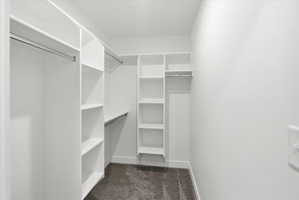 Walk-in closet featuring white built-in shelving, multiple hanging rods, and gray carpet flooring