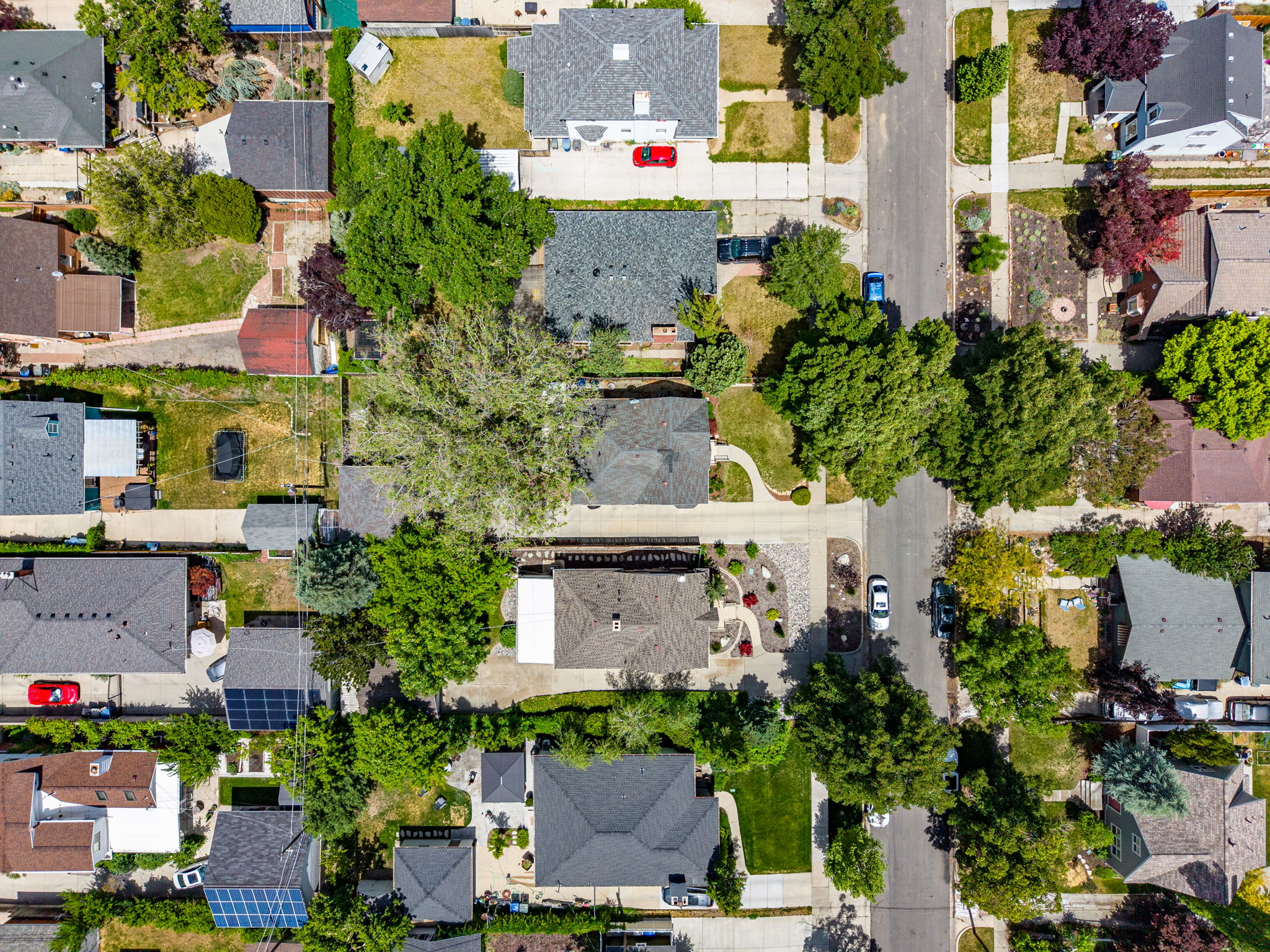 Residential neighborhood featuring mature trees and a grid street layout