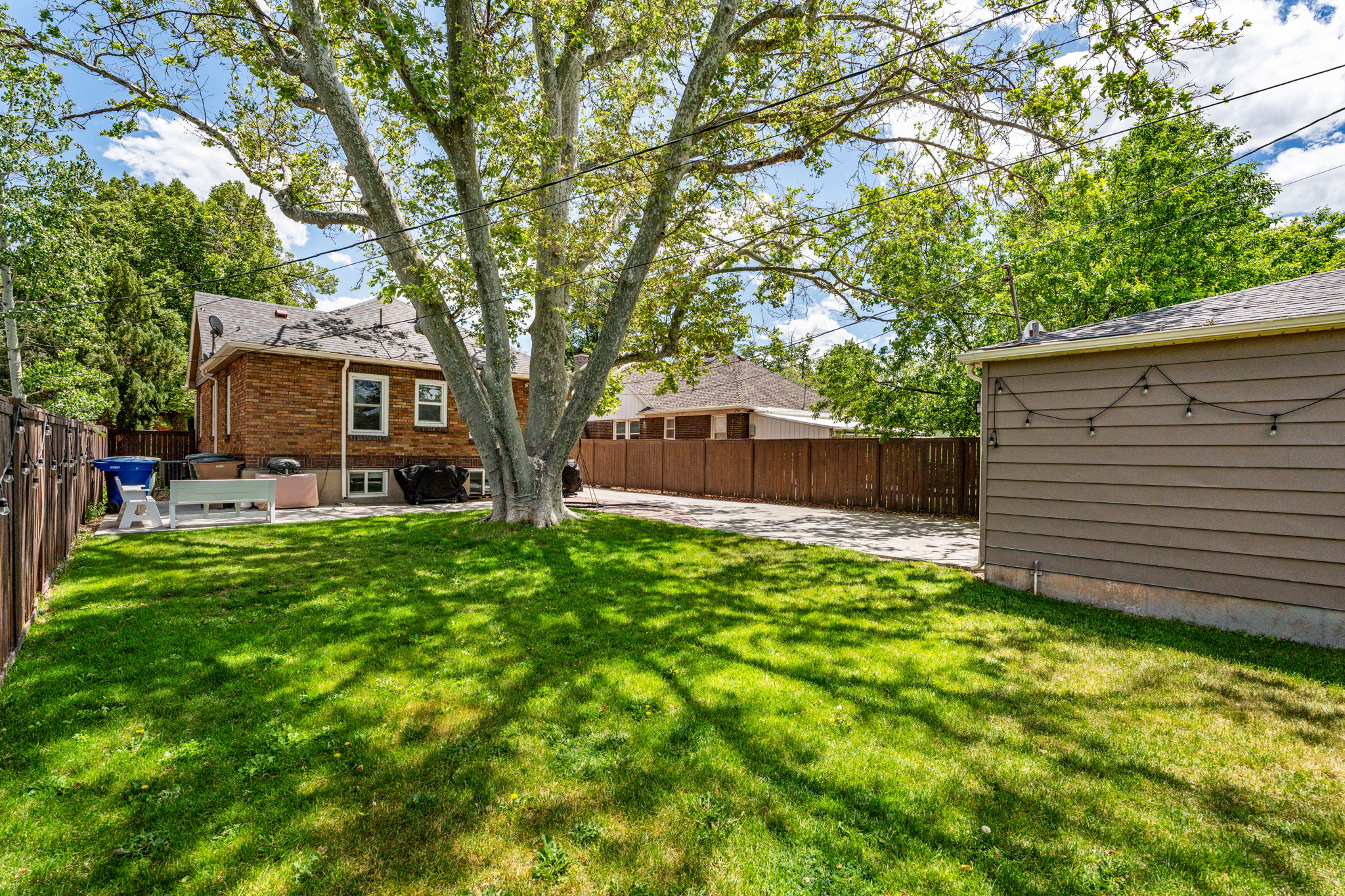 Expansive grassy yard area with a mature tree providing natural shade
