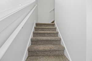 Carpeted staircase featuring white risers and handrails