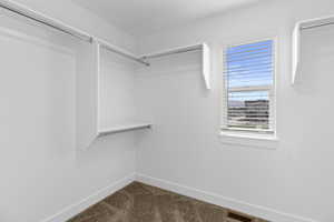 Walk-in closet featuring white built-in shelving, chrome hanging rods, a window with horizontal blinds, and carpet flooring