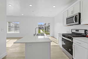 Modern kitchen featuring white cabinetry, stainless steel appliances, a white island with an integrated sink, white countertops, and wood-finish flooring