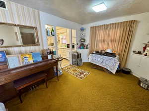 Interior room featuring a gold-toned textured carpet and striped wallpaper accents