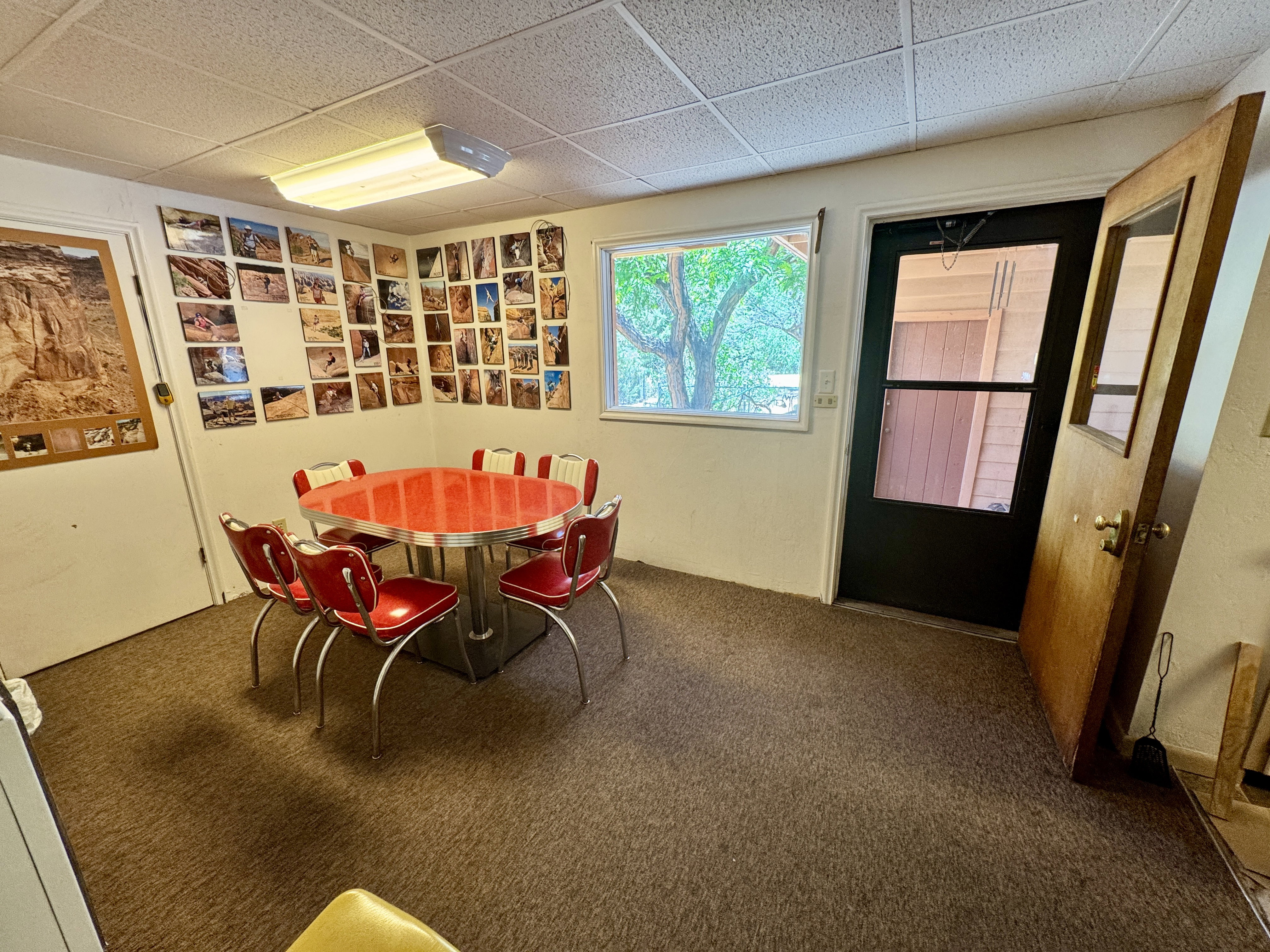 Carpeted room featuring a drop ceiling, white walls, and a window providing natural light