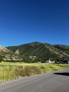 Expansive mountain range backdrop with natural green and golden-hued foliage