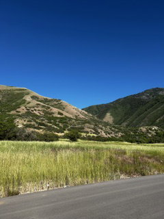 Paved road bordering an expanse of natural green grasses with distant mountainous terrain