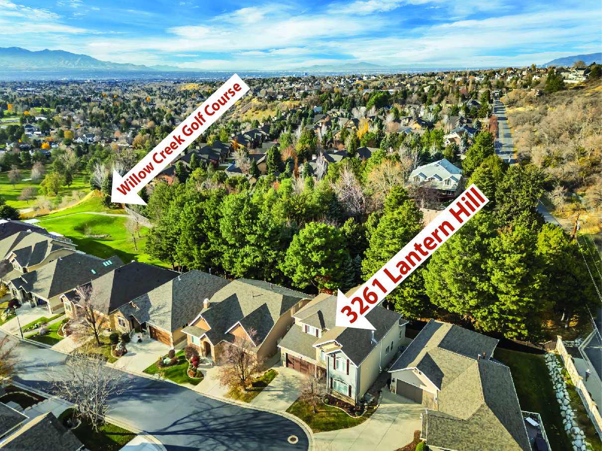 Aerial perspective highlighting a residential street with pitched rooflines and surrounding mature trees