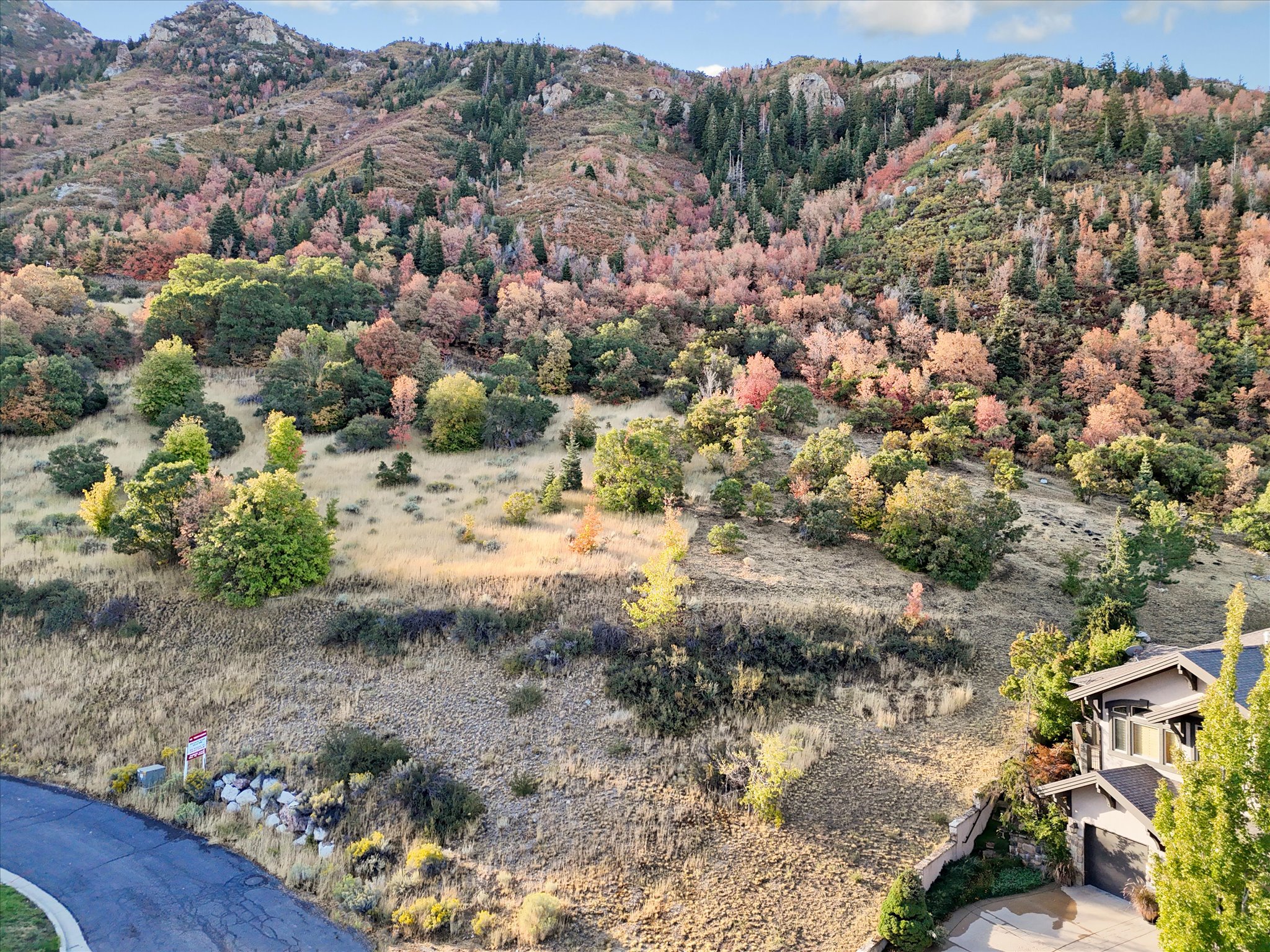 Expansive mountain backdrop featuring varied autumn foliage and natural terrain