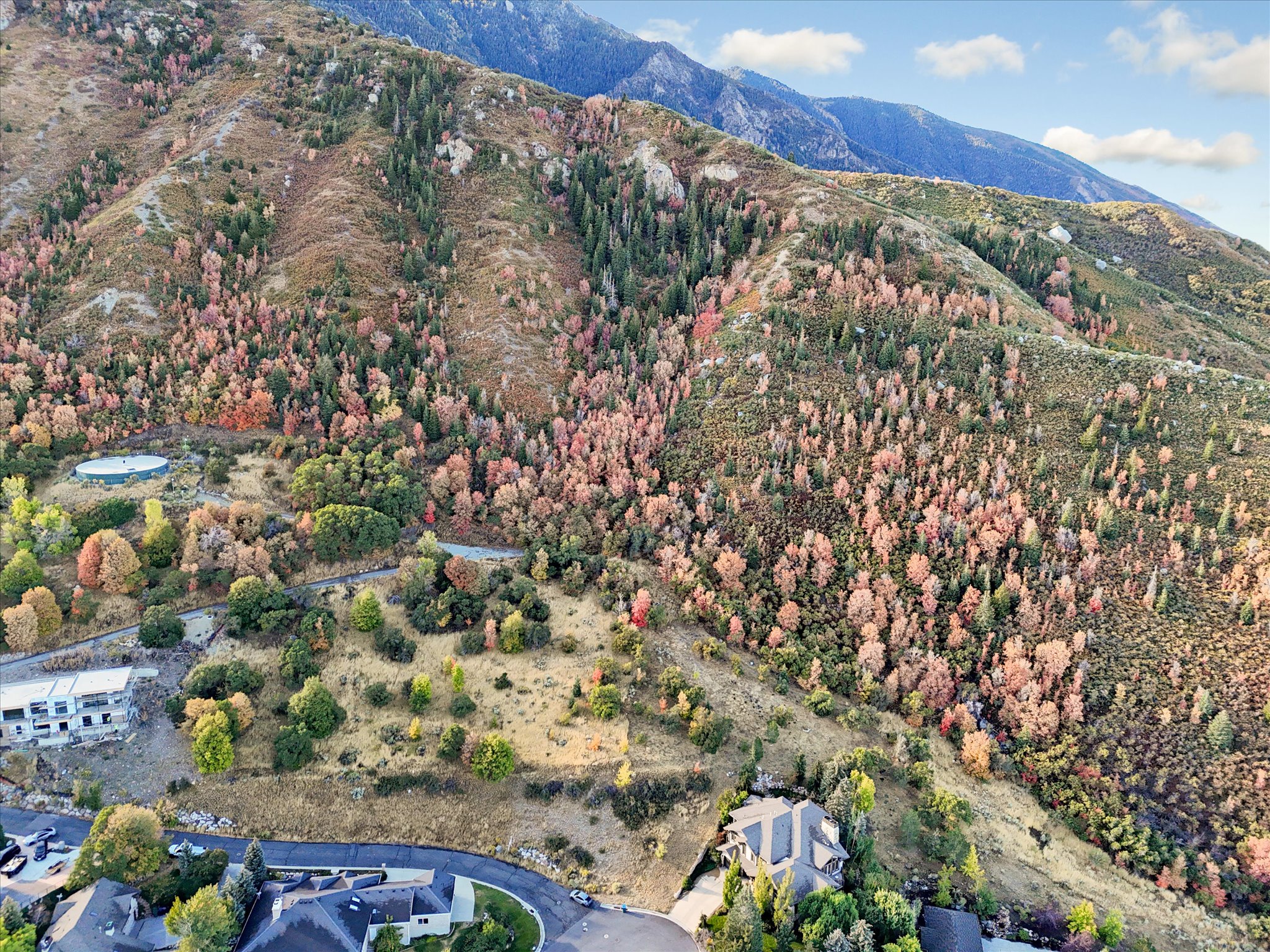 Expansive mountain terrain with varied foliage, including evergreen and deciduous trees displaying autumn colors