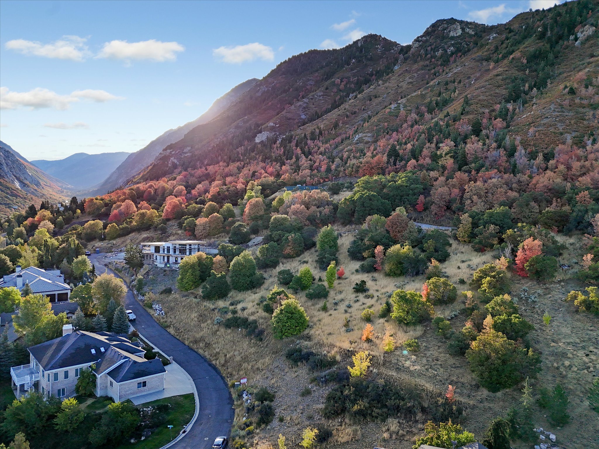 Sweeping mountain landscape featuring established trees and a winding road