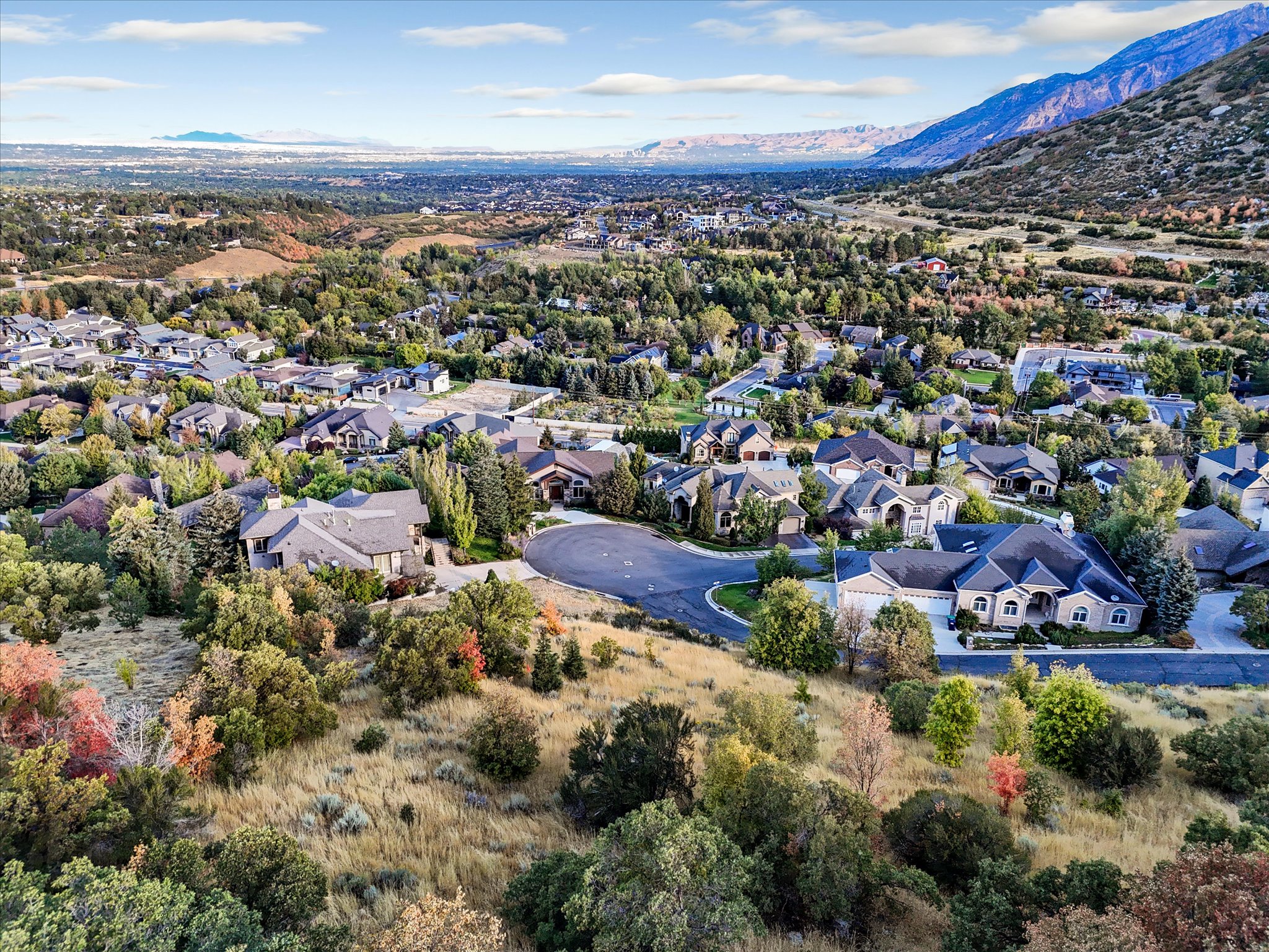 Expansive aerial perspective showcasing a residential neighborhood with varied architectural styles
