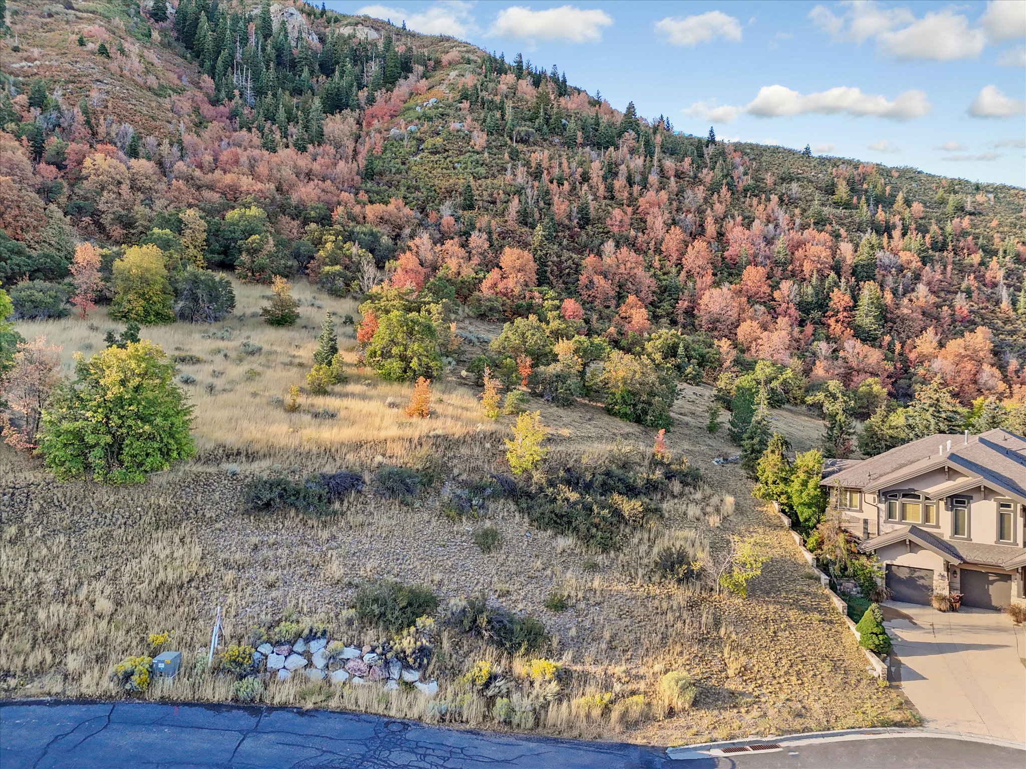 Expansive hillside property featuring diverse mature trees, a natural landscape, and partial rock retaining walls