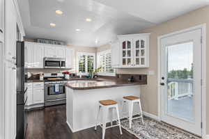 Kitchen featuring white cabinetry, stainless steel appliances, dark wood-finish flooring, recessed lighting, and a glass-paneled door leading to an outdoor deck