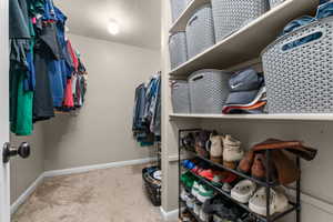 Walk-in closet featuring carpet flooring, built-in shelving, and multiple hanging rods for apparel