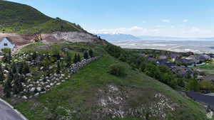 Expansive hillside property featuring established landscaping with varied rock work and mature evergreen trees