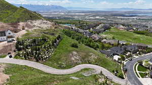 Expansive hillside lot featuring a winding paved road and verdant natural landscaping