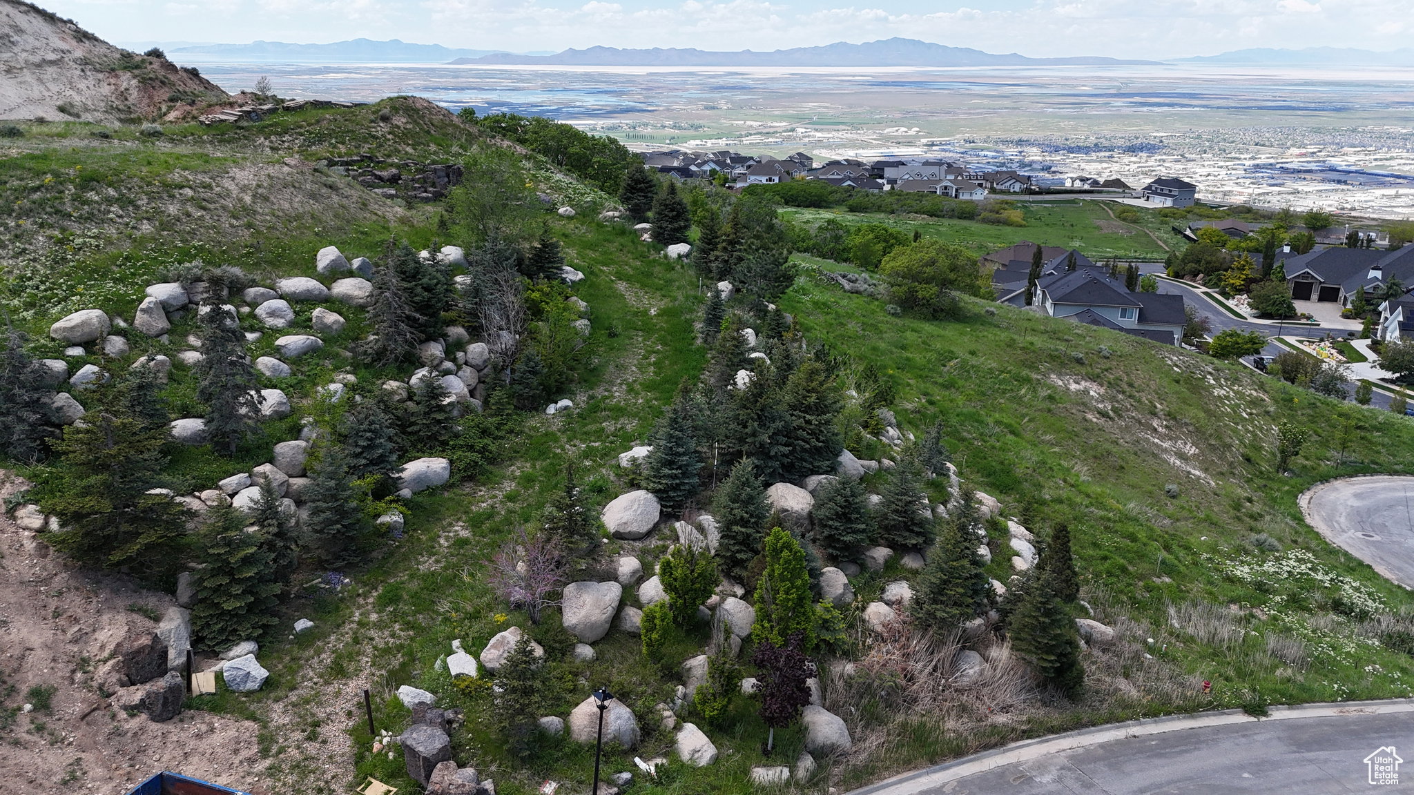 Expansive hillside terrain with established evergreen trees and natural rock formations