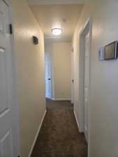 Carpeted hallway with light-colored walls and white trim