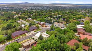 Lush, tree-lined suburban landscape with a sweeping curve of residential streets