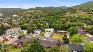 Aerial perspective showcasing a residential neighborhood with diverse architectural styles, surrounded by lush, mature trees