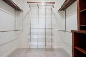 Customizable closet system featuring wood-finish shelving, metal hanging rods, wire shelving, built-in wooden cabinetry, and neutral carpeting