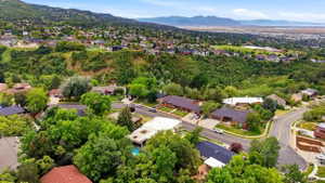Expansive residential area featuring numerous homes nestled among mature green trees