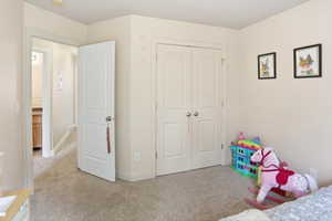 Carpeted room featuring a double-door closet, painted trim, and a paneled interior door