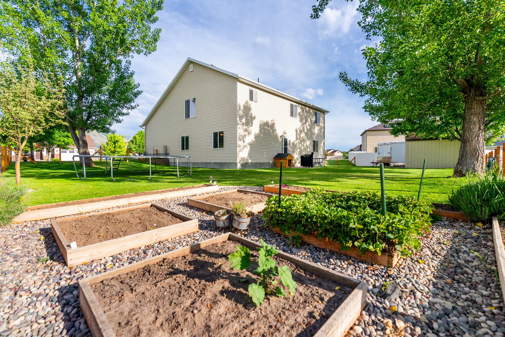 Expansive backyard featuring a manicured lawn, established trees, and multiple raised garden beds set within a gravel pathway