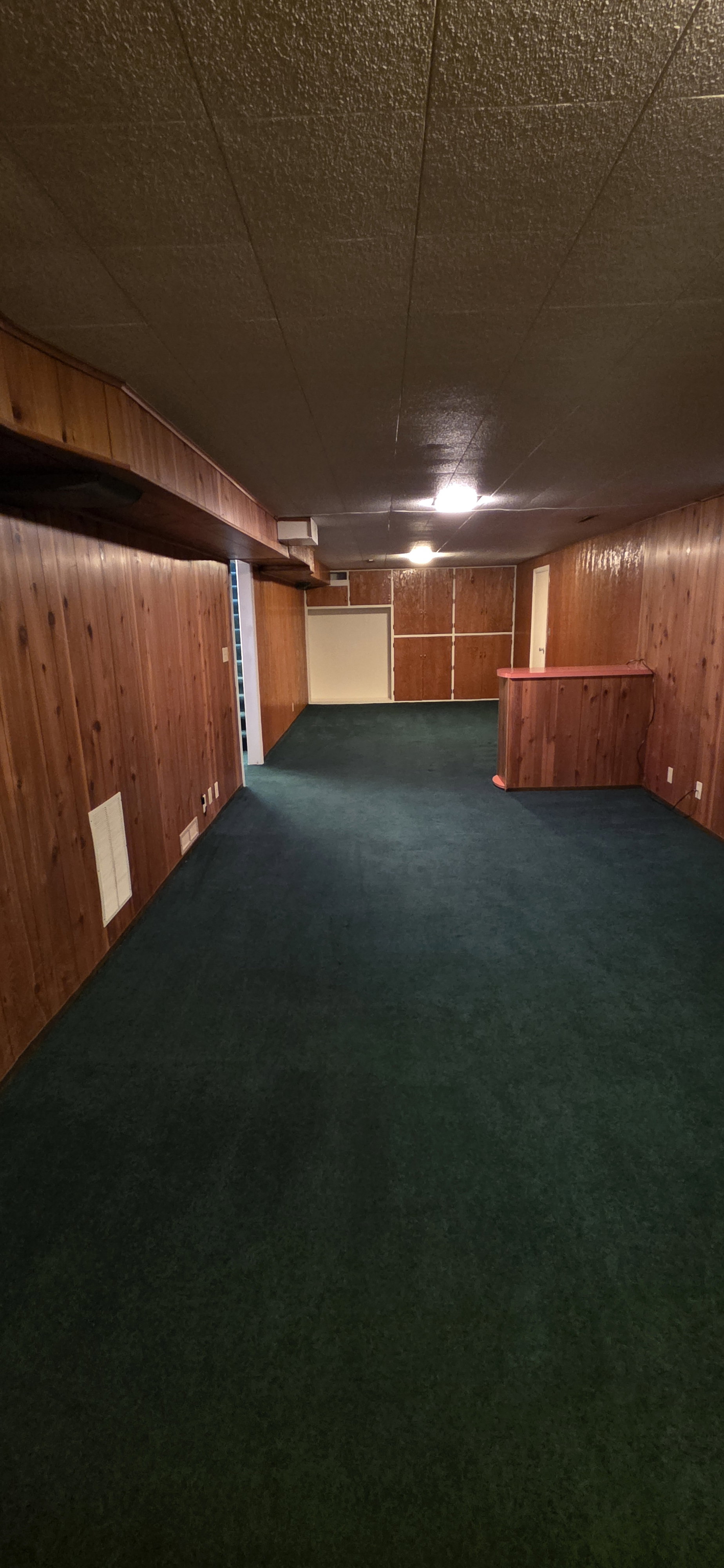 Spacious lower-level room featuring rich wood paneling, dark green carpeting, and a built-in bar