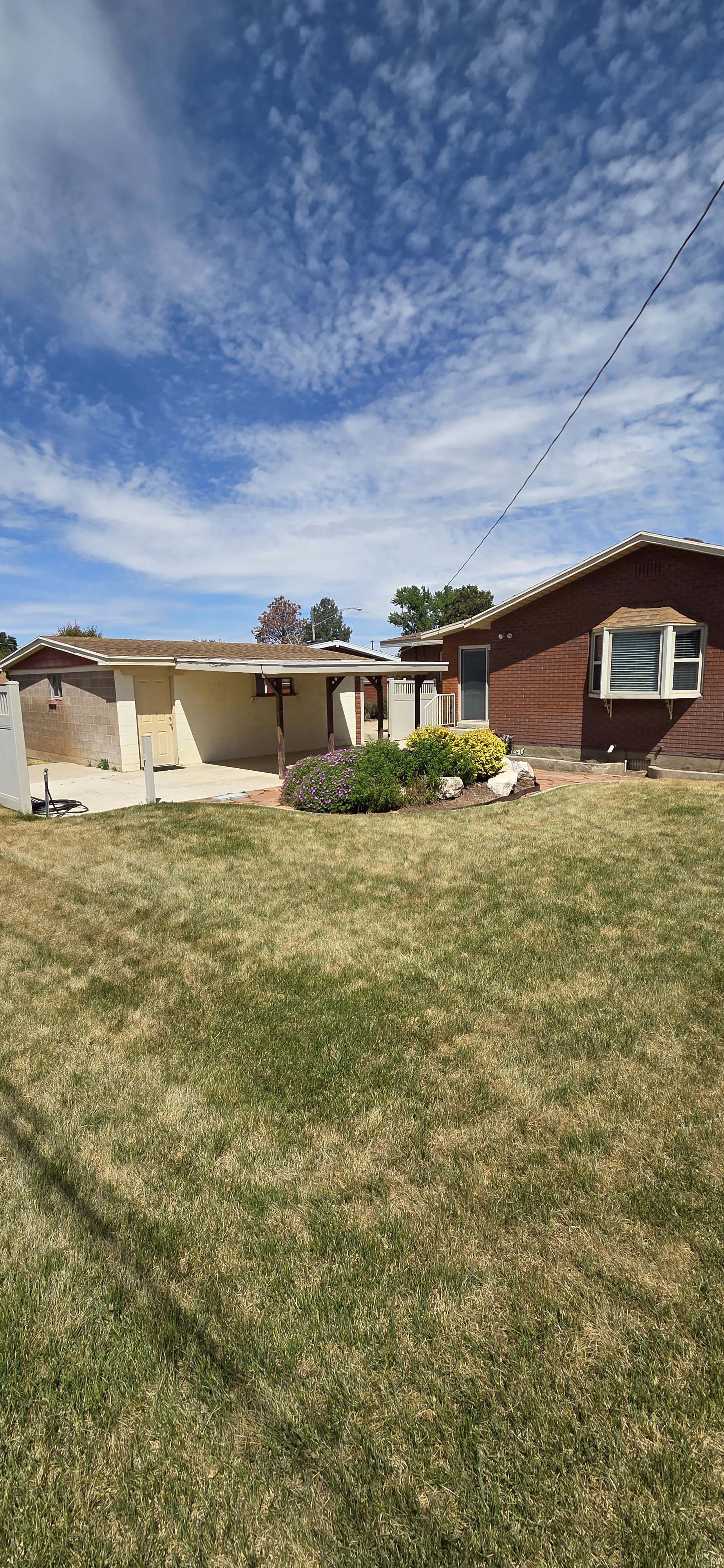 Expansive green lawn with a mature shrub and rock landscaping feature