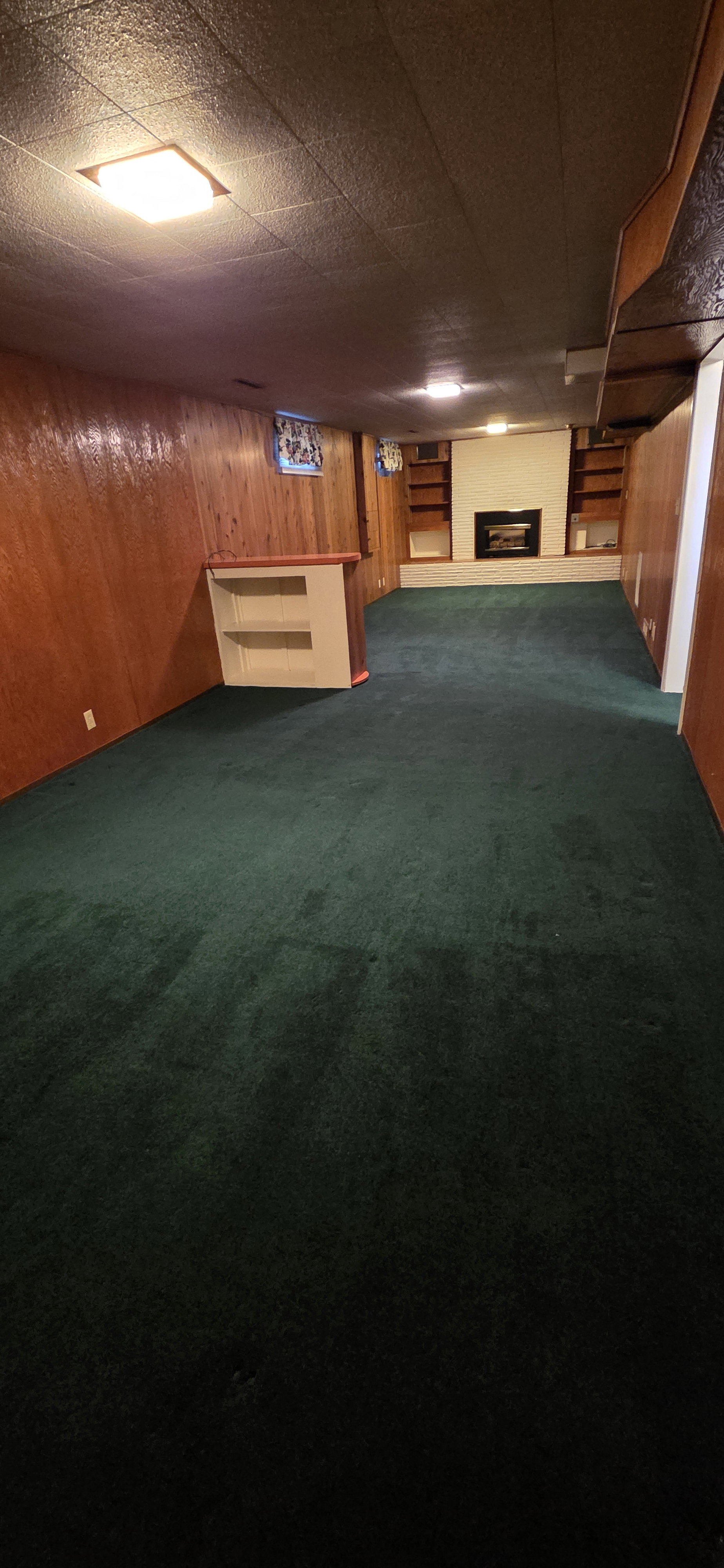 Spacious room featuring green carpeting, wood paneling, a built-in bar, and a fireplace with integrated shelving