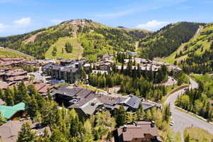 Mountain resort community featuring extensive forest coverage and winding roads