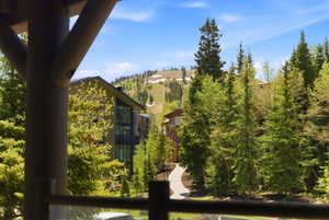 Mountain scenery featuring snow-dusted peaks and a forested hillside