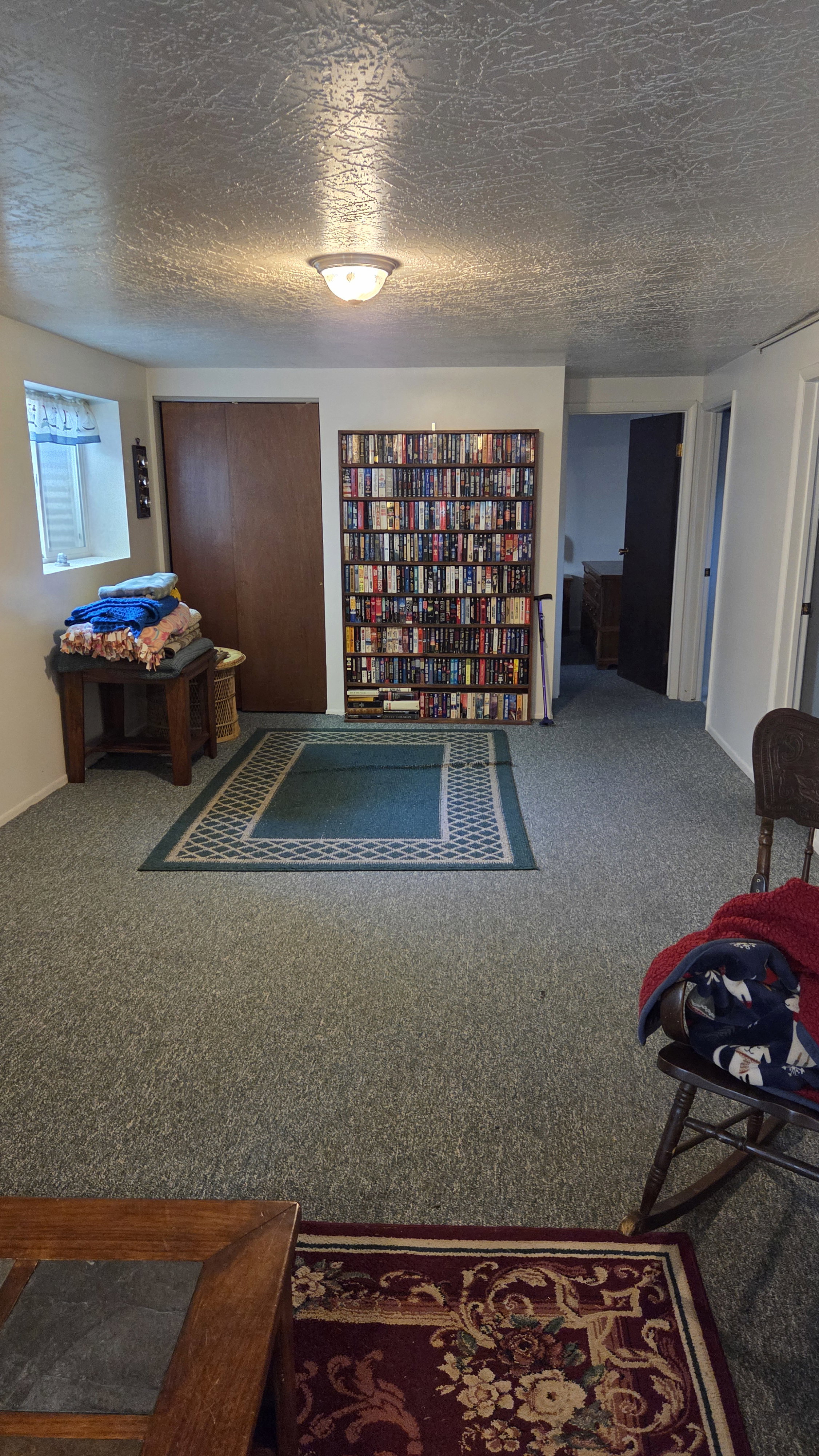Carpeted interior space featuring a built-in shelving unit, a window with a valance, and a flush-mount ceiling light fixture