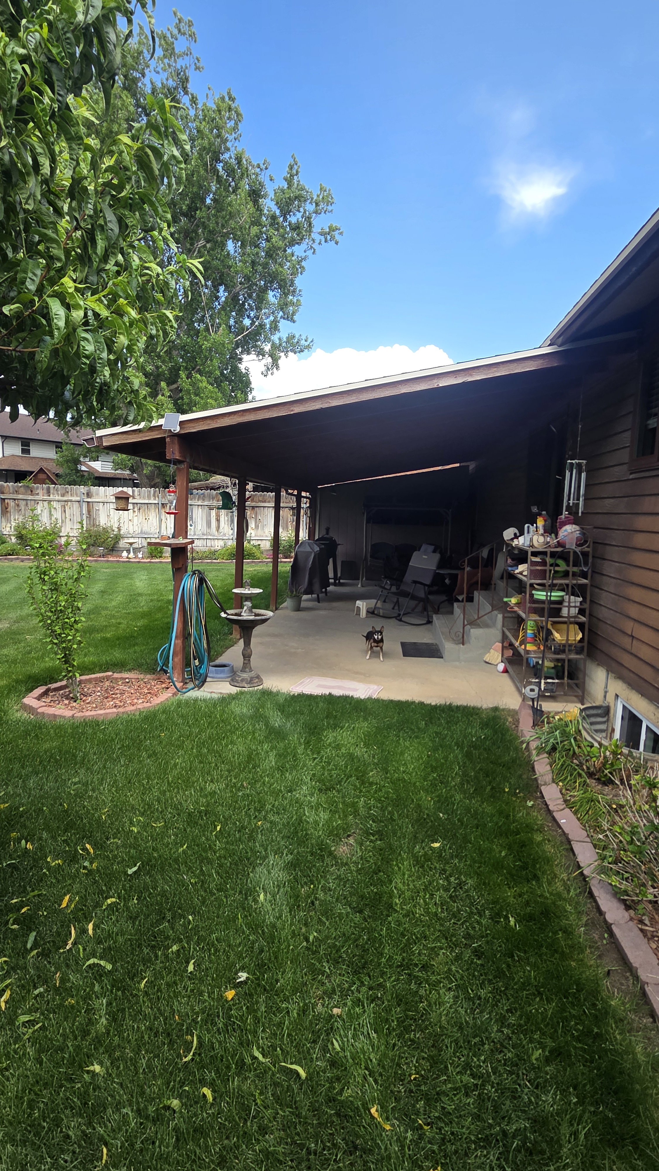 Expansive backyard featuring a covered patio, concrete slab, mature trees, manicured lawn, and decorative brick edging