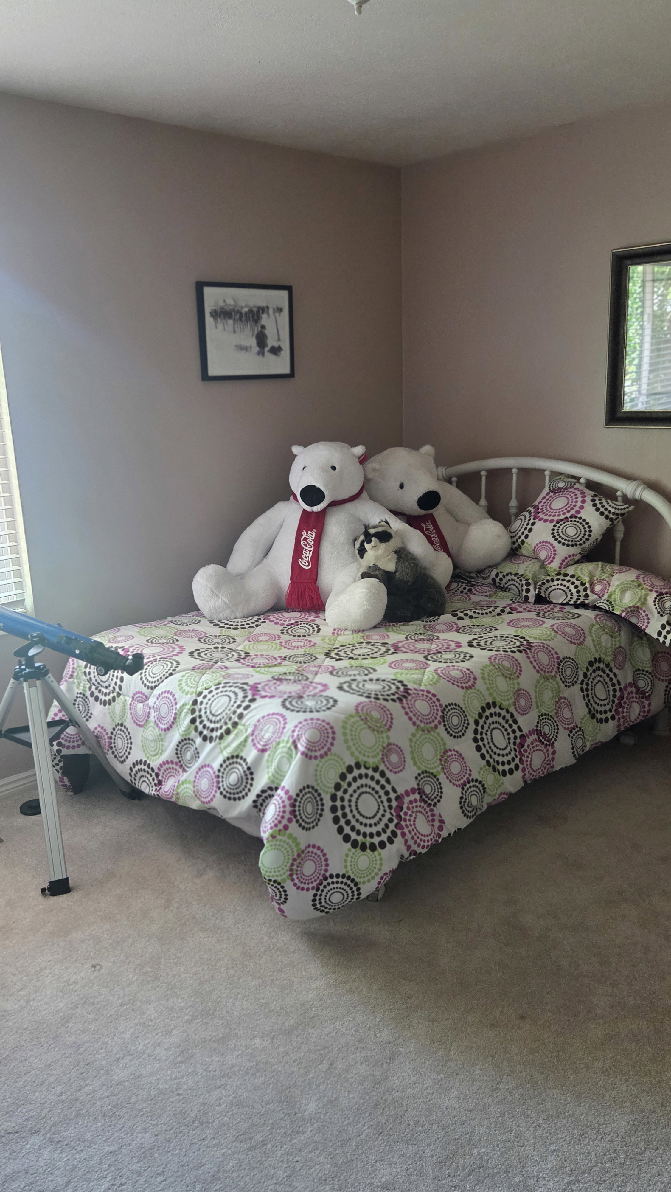 Corner room featuring soft wall color and carpeted flooring