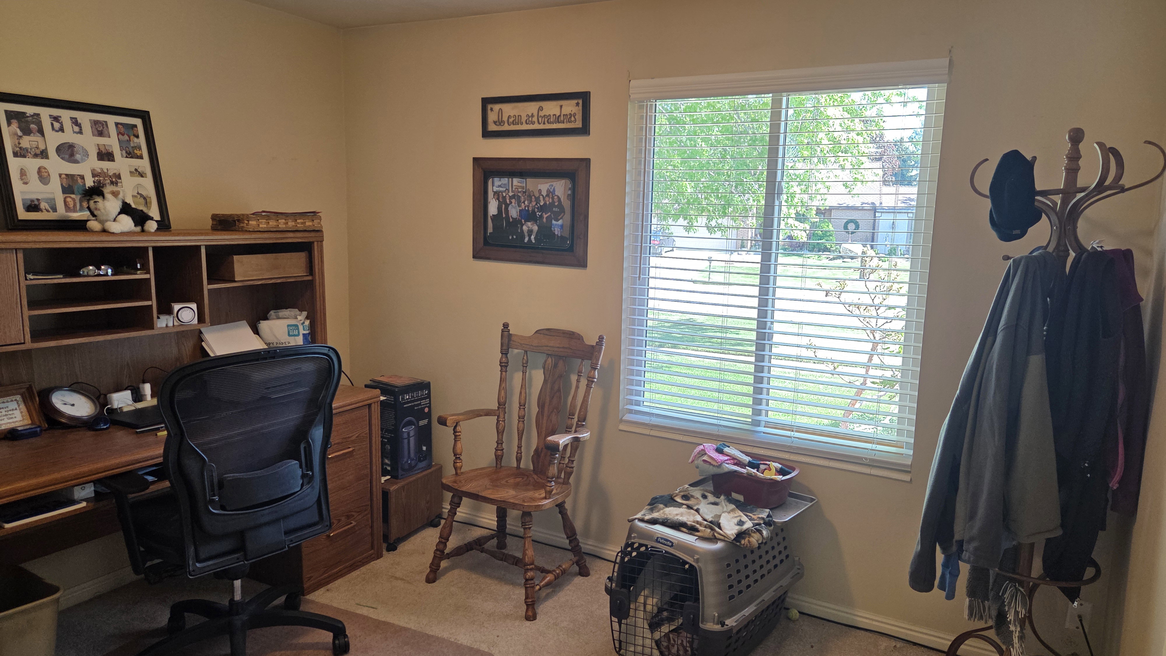 Room featuring a window with white blinds, carpet flooring, light-colored walls, and a built-in wooden desk with shelving
