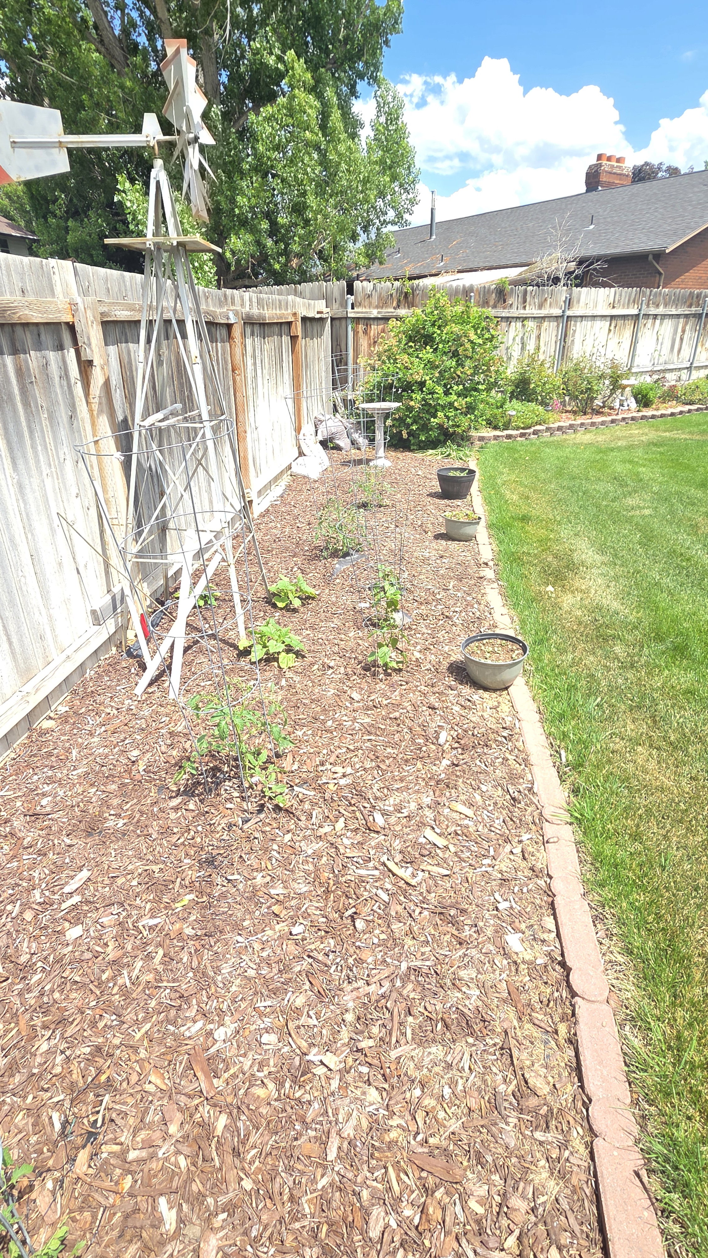 Dedicated garden bed with wood chip ground cover, bordered by a decorative paver edge